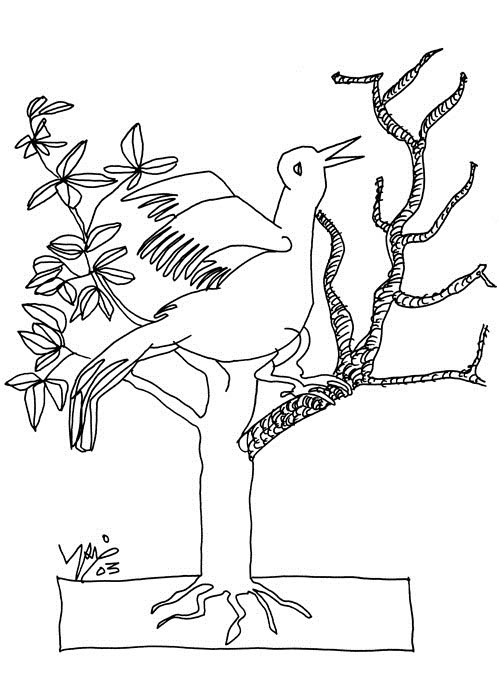 image11