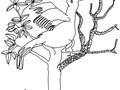 image11