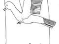 image12