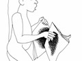 draw_33