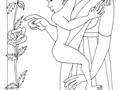 draw_44